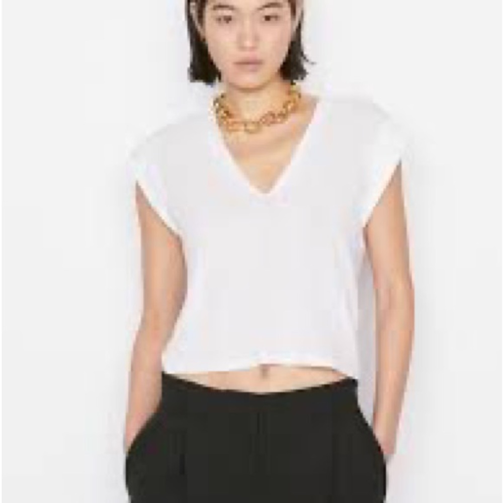 Frame Le High Rise Crop